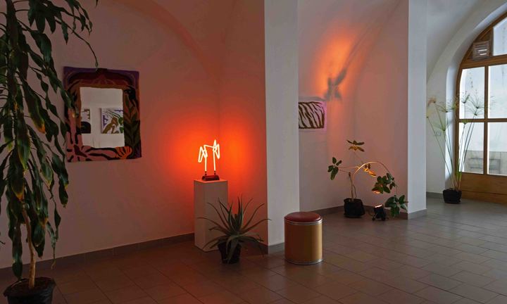 Výstava Fluffy Affair, chodba galerie s kobercovým zrcadlem a rostlinami