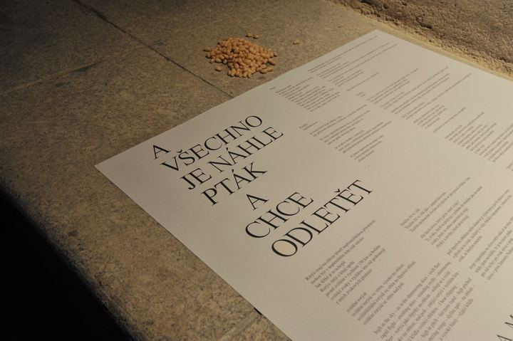 Text výstavy A všechno je náhle pták a chce odletět